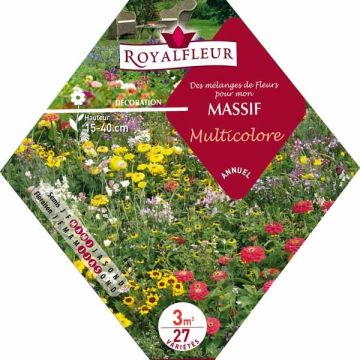 Mischia per aiuola multicolore - Bustina 3m2