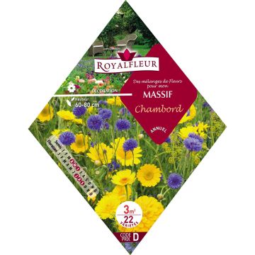 Mischia per aiuola Chambord - Bustina 3 m2