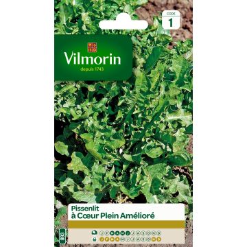 Taràssaco comune A cuore pieno migliorata - Vilmorin