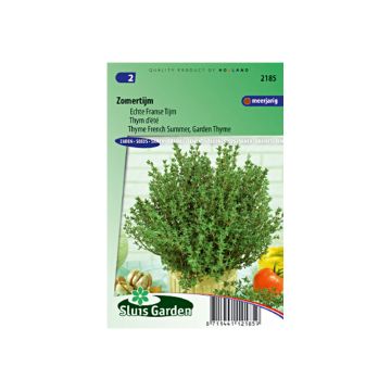 Thymus vulgaris - Timo d'estate