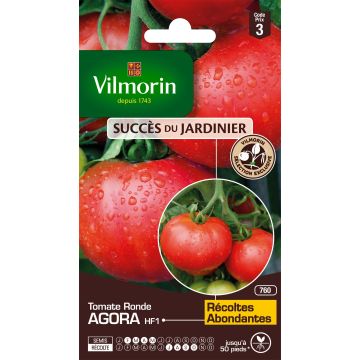 Pomodoro a grappolo Agora