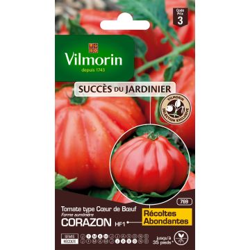 Pomodoro cuore di bue/Beefsteak Corazon