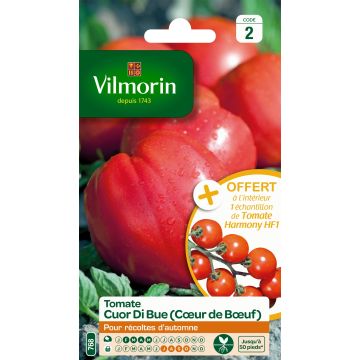Pomodoro cuore di bue/Beefsteak Cuor di Bue - Vilmorin