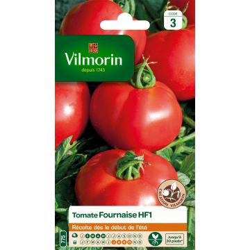 Pomodoro tondo liscio Fournaise - Vilmorin