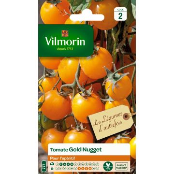 Pomodoro ciliegino/datterino Gold Nugget - Vilmorin