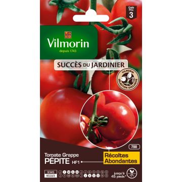 Pomodoro Pépite