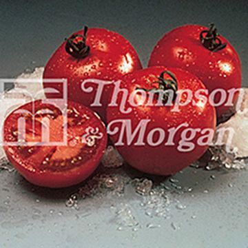 Pomodoro a grappolo Cristal