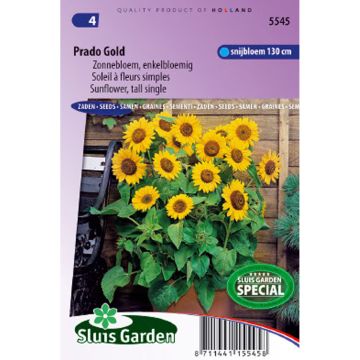 Girasole Prado Gold Girasole Prado Gold