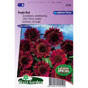 Girasole Prado Red Girasole Prado Red