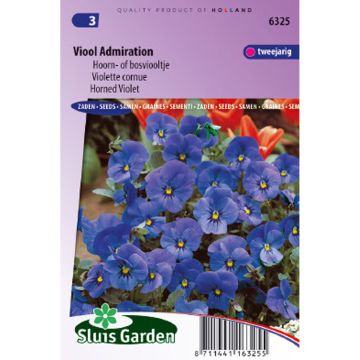 Viola cornuta hybrida Admiration