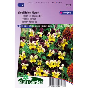 Viola Helen Mount