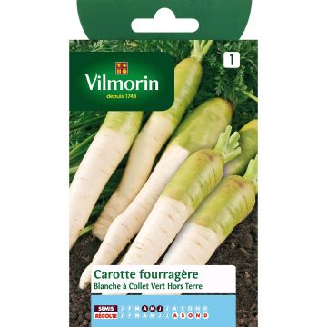 Carota da foraggio