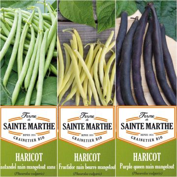 Collezione di 3 fagioli colorati e produttivi BIO - Azienda Agricola di Santa Marta
