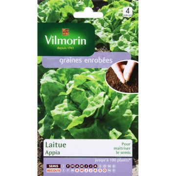 Lattuga a cappuccio Appia - Vilmorin (semi revestiti)