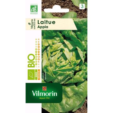 Lattuga a cappuccio Appia Bio - Vilmorin