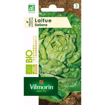 Lattuga a cappuccio Deliane Bio - Vilmorin