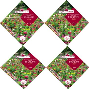 Mix di fiori per bouquet estivi da seminare - Bustina 3 m2