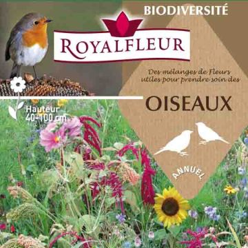 Mix per prenderti cura degli uccelli - Scatola 100 m2