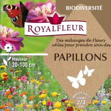 Mix per attirare le farfalle - Scatola 25 m2