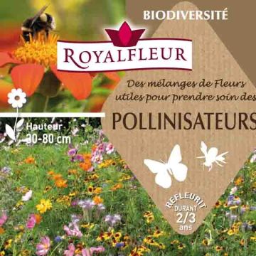 Mischia per attirare i impollinatori - Scatola 8 m2