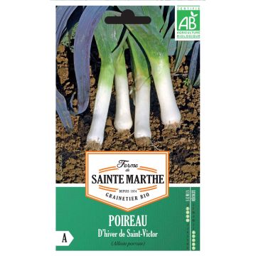 Porro Saint Victor Bio