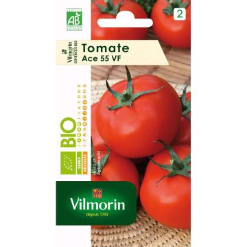 Pomodoro cuore di bue/Beefsteak Ace 55