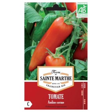 Pomodoro lungo Corno delle Ande Bio - Ferme de Sainte Marthe