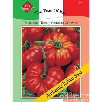Pomodoro costoluto Costoluto Genovese