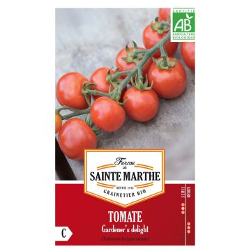 Pomodoro ciliegino/datterino Garderner's Delight