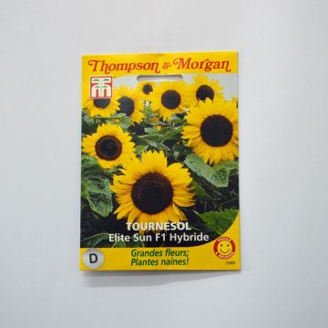 Girasole F1 Elite Sun