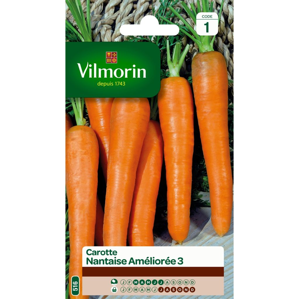 Carota Nantese migilorata 3