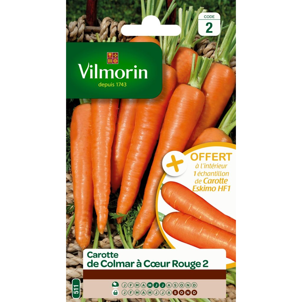 Carota Colmar a cuore rosso 2