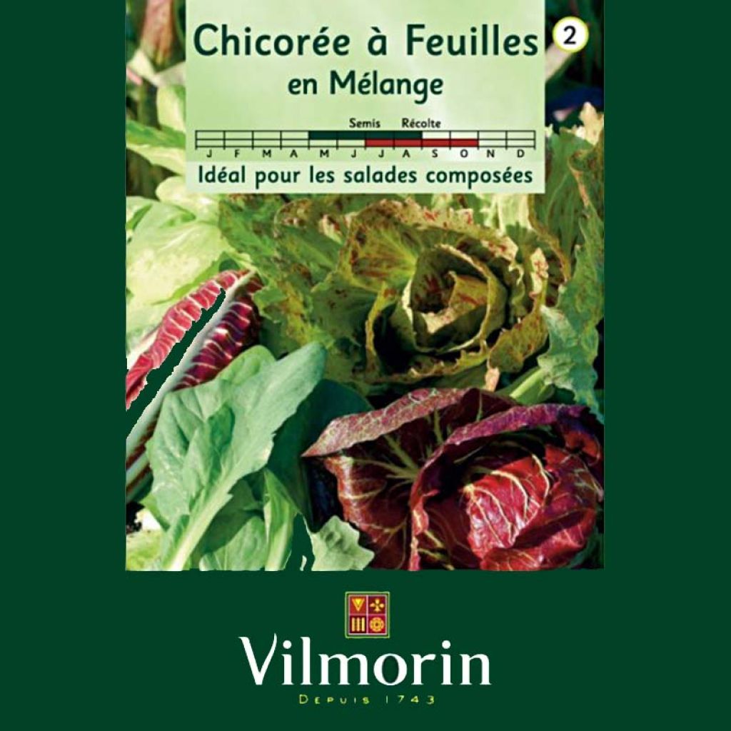 Cicoria Mix - Vilmorin