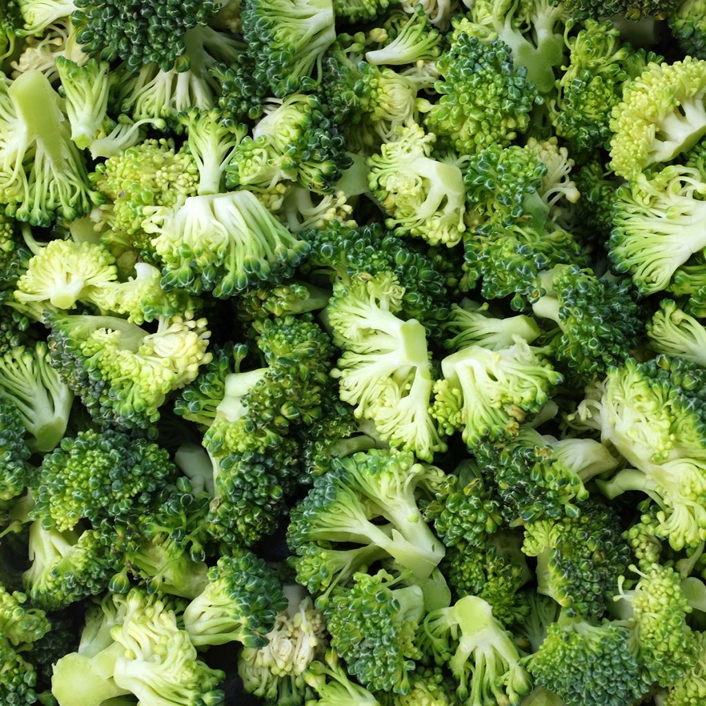 Cavolo broccolo Ramoso Calabrese