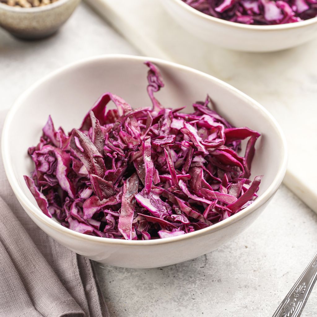 Cavolo cappuccio rubra Langedijker Bewaar 2