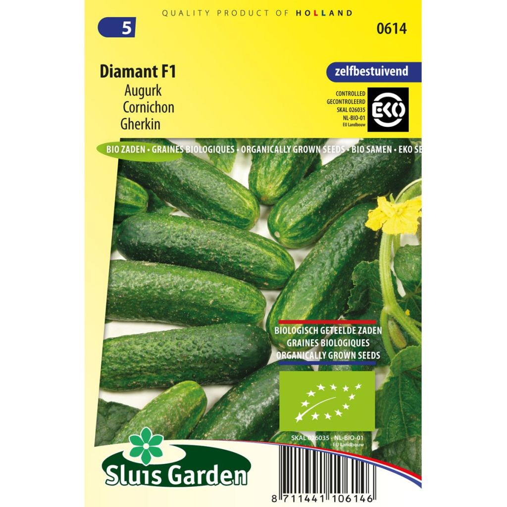 Cetriolino per sottaceto Diamant F1