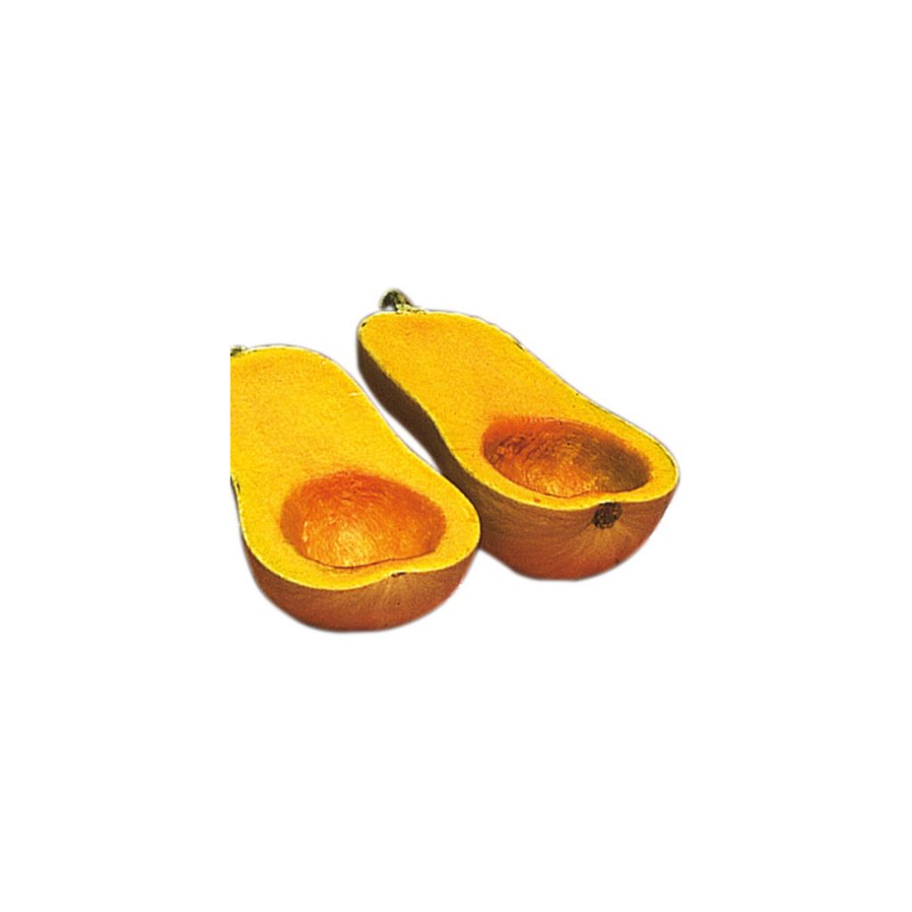 Zucca moscata Zénith