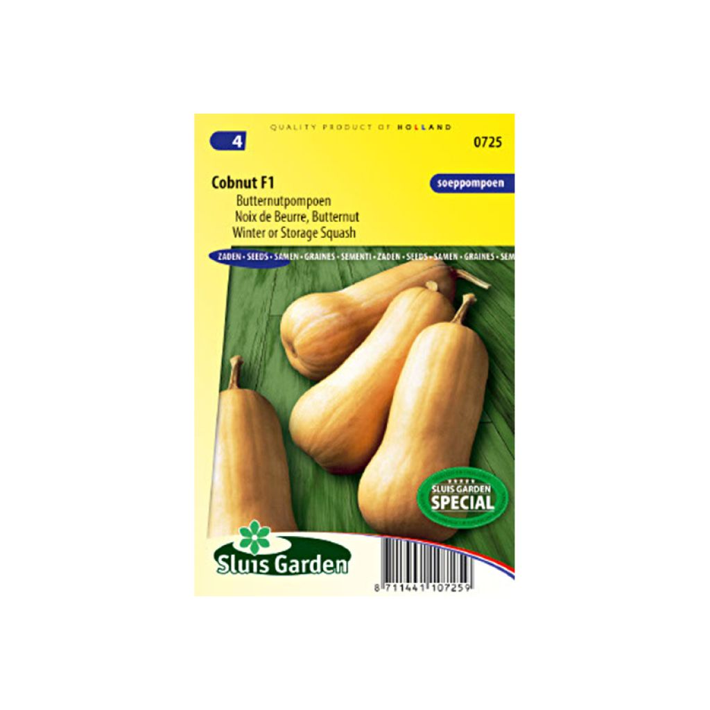 Zucca moscata Noix de Beurre Cobnut F1