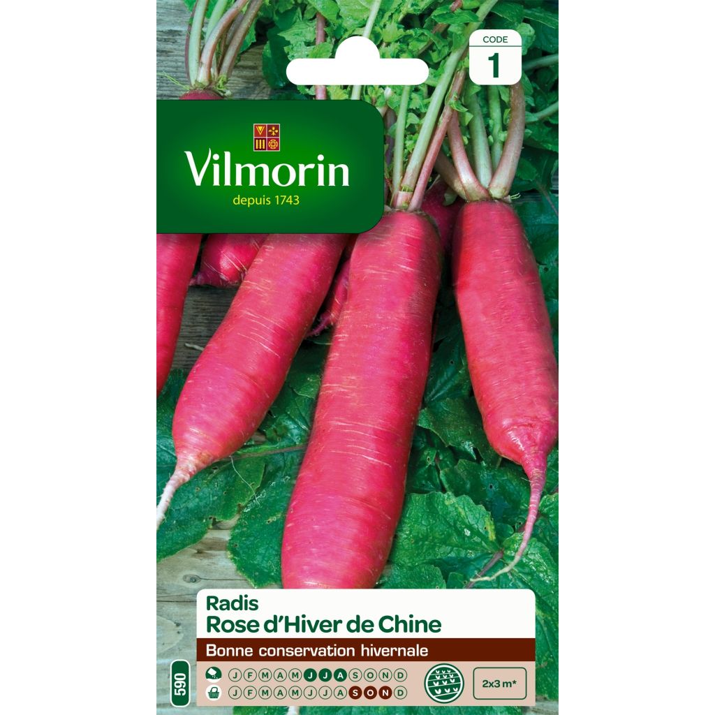 Ravanello Rosa Cinese d'Inverno - Vilmorin