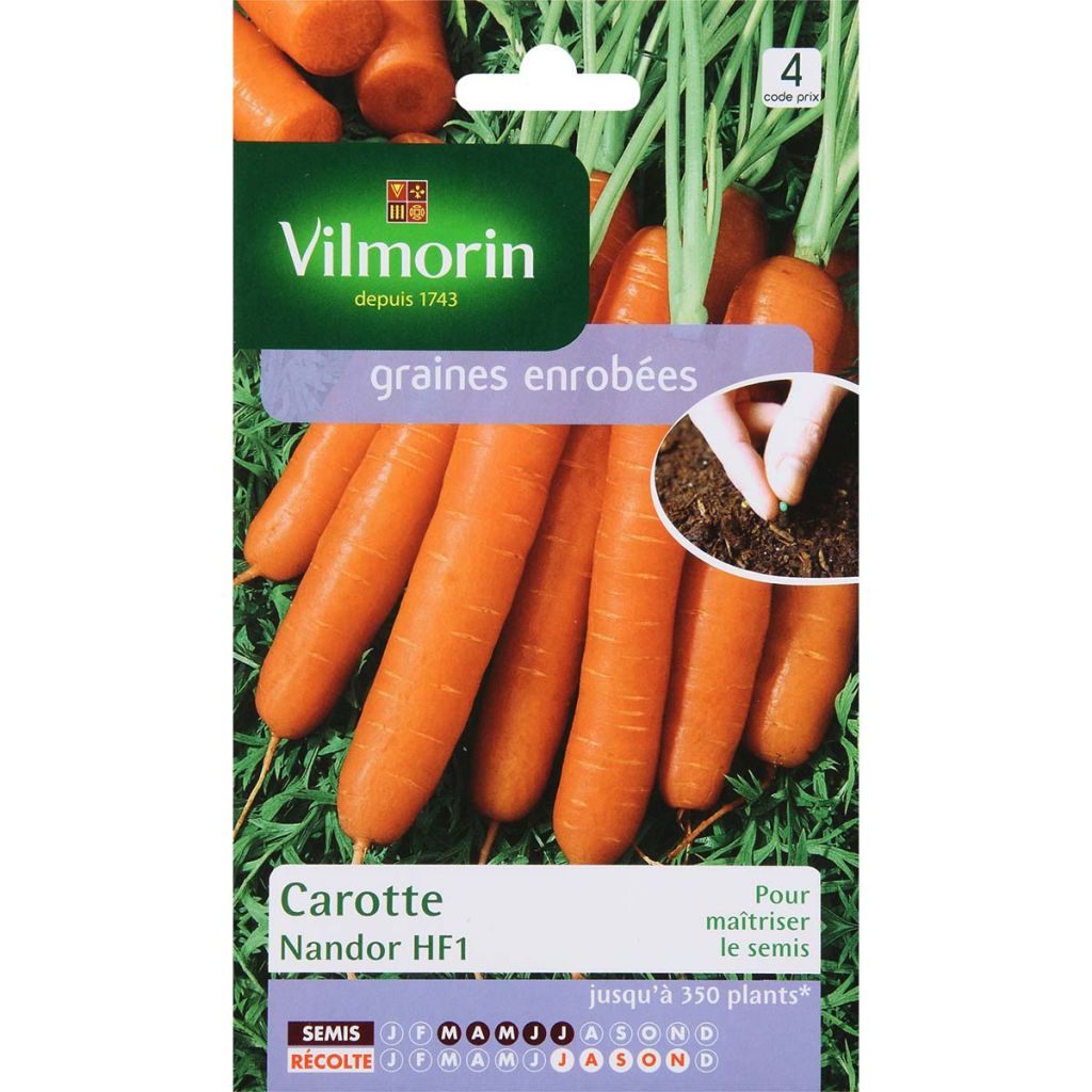Carota Nandor