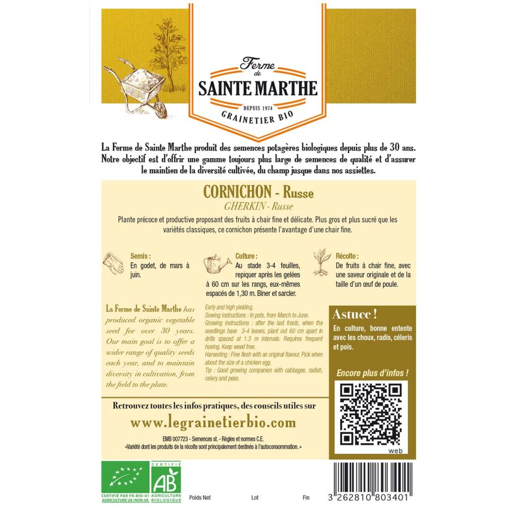 Cetriolino per sottaceto Russo