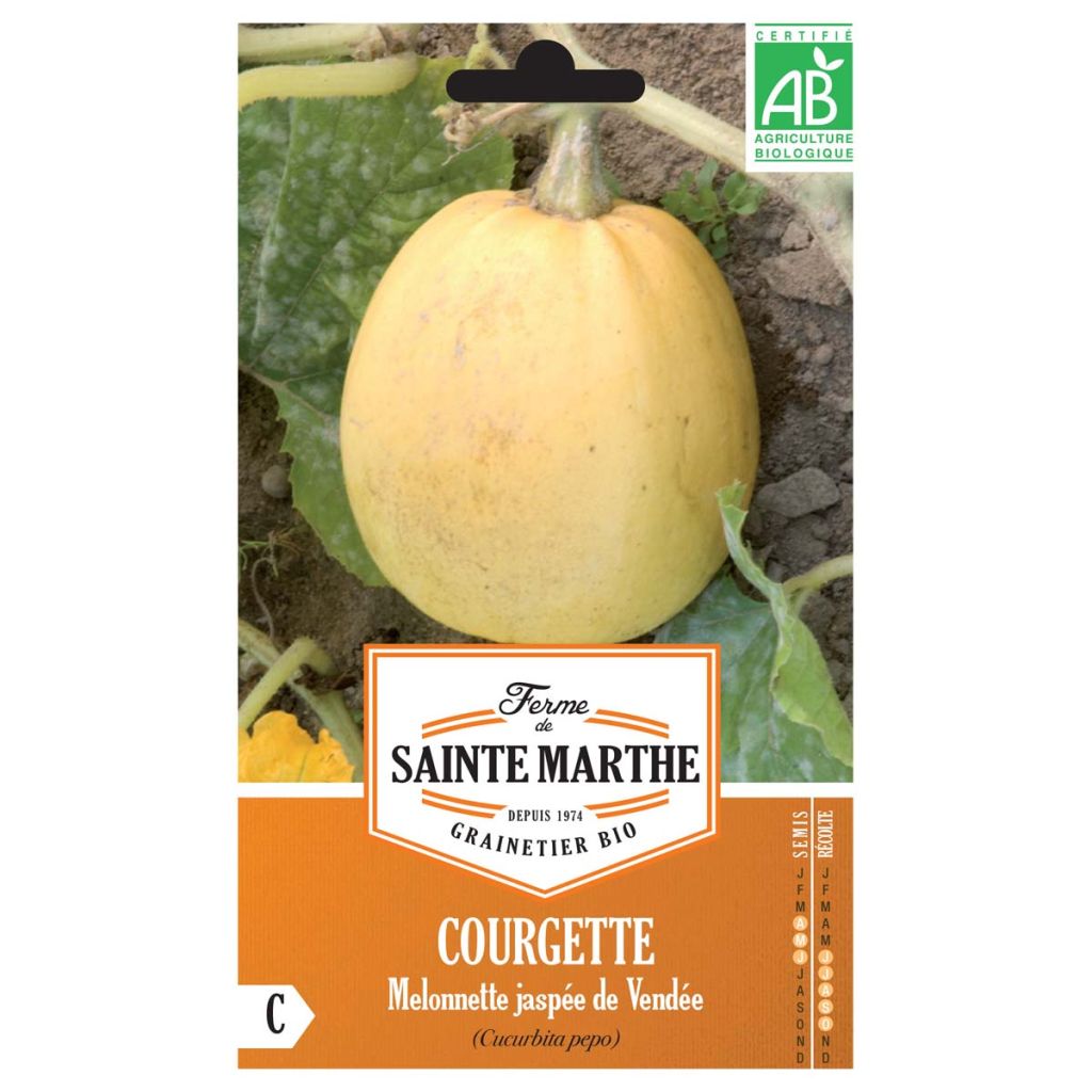 Zucchino Melonnette Jaspée de Vendée Bio - Ferme de Sainte Marthe