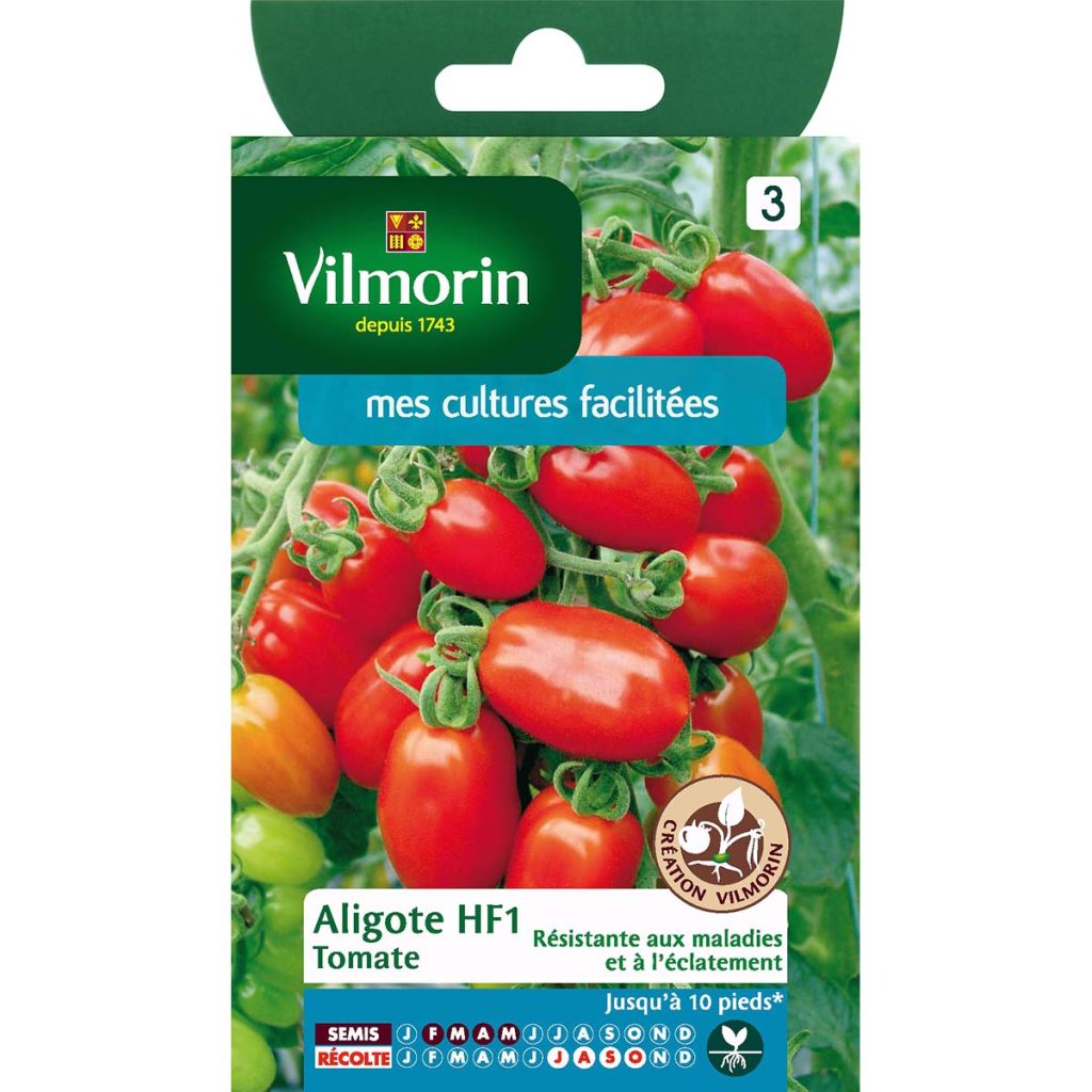 Tomate Aligote - Vilmorin
