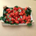 Fragola rifiorente Mariguette