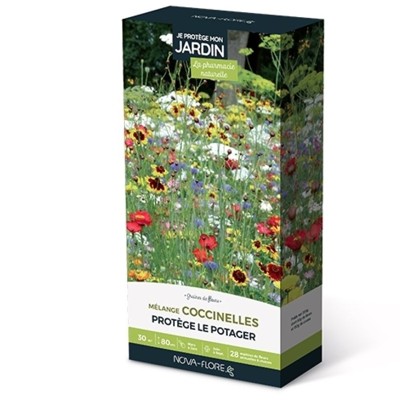Miscela di semi per coccinelle (Fioritura)