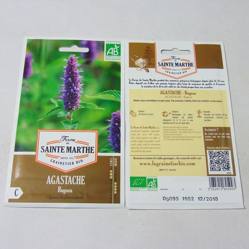 Esempio di esemplare Agastache rugosa - Menta coreana sacchetto di semi 150 (0.095g) come consegnato