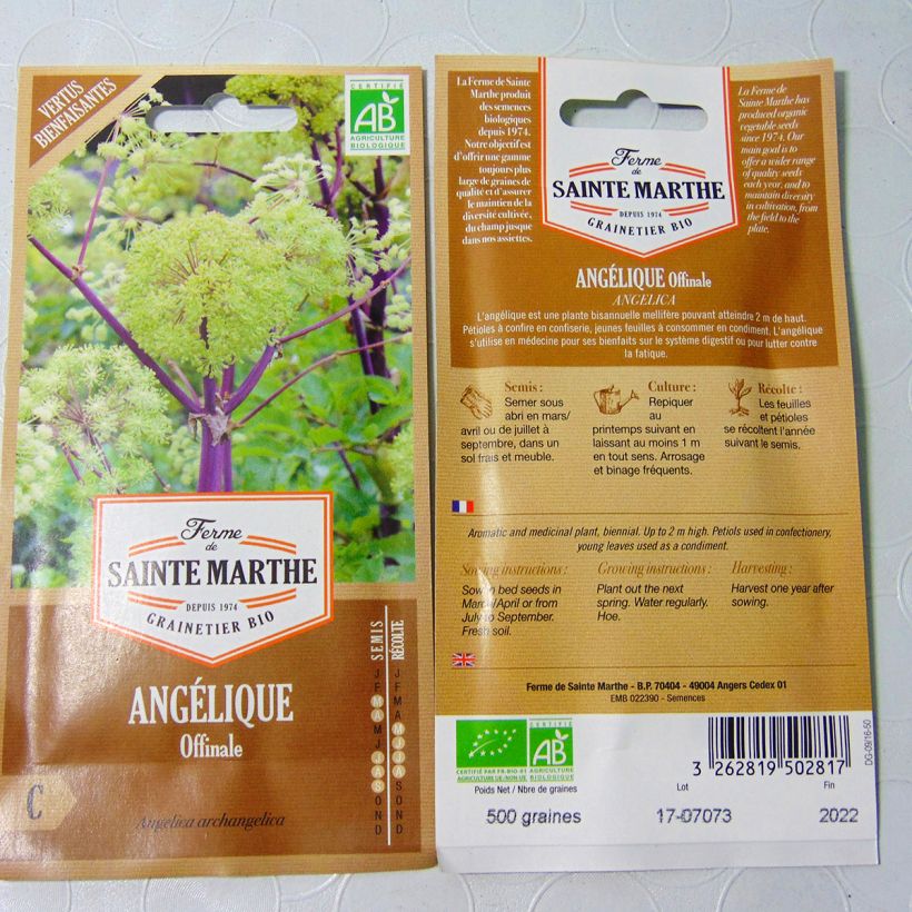 Esempio di esemplare Angelica archangelica Bio - Angelica sacchetto di semi 400 (2g) come consegnato