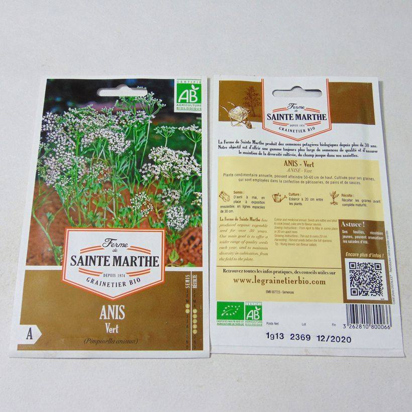Esempio di esemplare Pimpinella anisum Bio - Ferme de Sainte Marthe - Anice comune sacchetto di semi 500 (1g) come consegnato