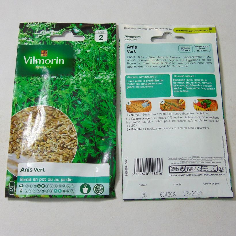 Esempio di esemplare Pimpinella anisum - Vilmorin - Anice comune sacchetto di semi da 2 grammi come consegnato