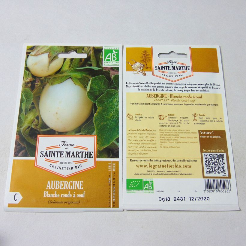 Esempio di esemplare Melanzana Bianco tondo d'uovo sacchetto di semi 40 (0.18g) come consegnato